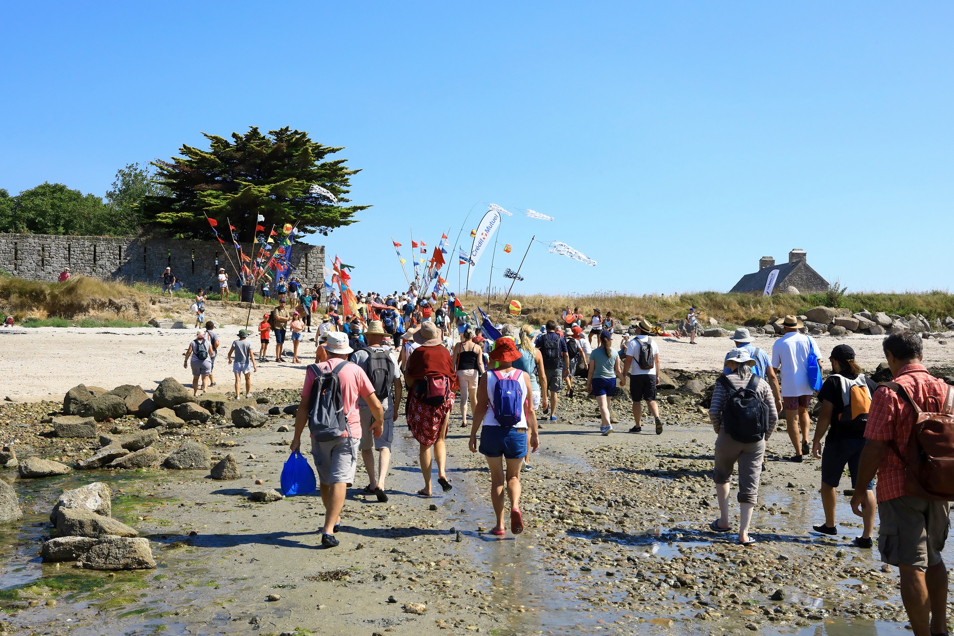 Festival de musique où les participants traversent à pied pour rejoindre l'île Tatihou à marée basse