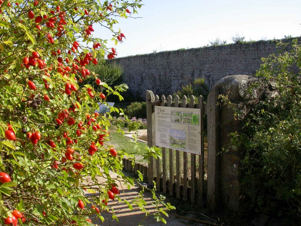 A wooden gate opened to the botanical garden on Tatihou Island