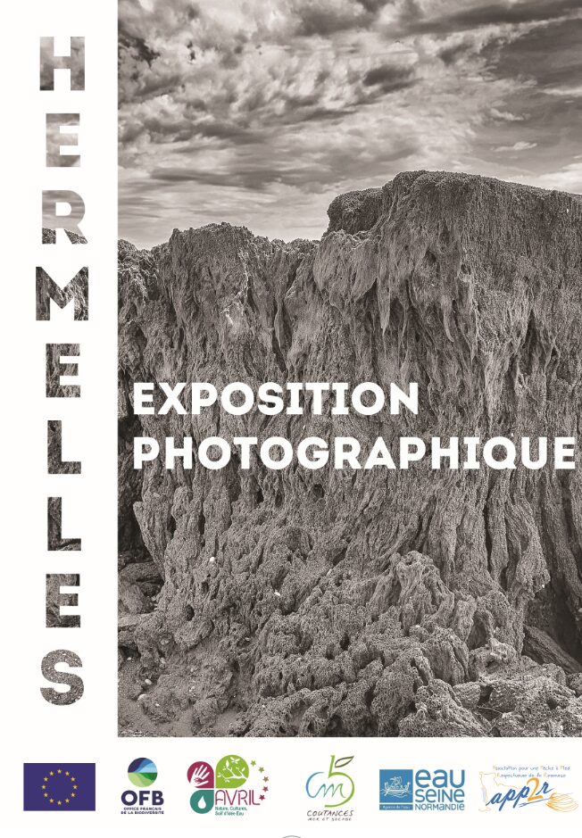 Affiche en noir et blanc de l'exposition photographique intitulée "Hermelles"