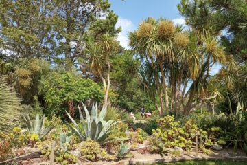 Jardin d'acclimatation sur l'île Tatihou